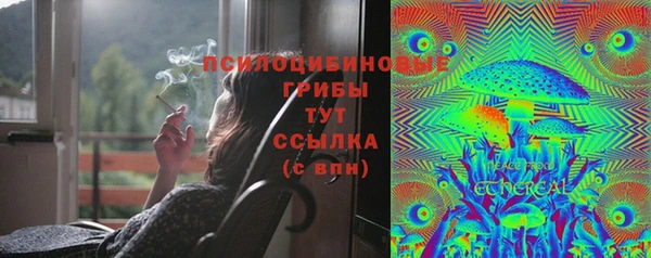 молекула духа Тихорецк