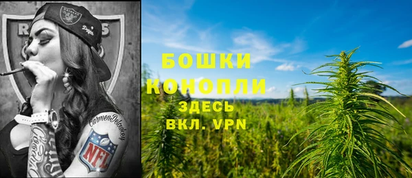 герыч Вяземский
